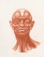 Fall Arts Program: Art in the Museum~ The Art of Drawing the Human Head: Features, and Faces With Michael M. Hensley