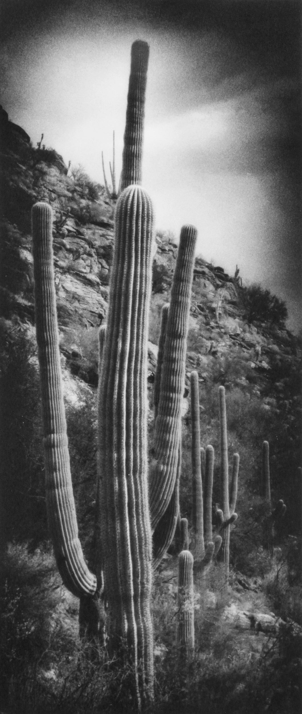 Eli Geller, 2-D 410