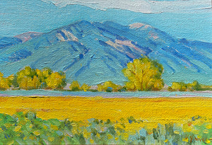 Valerie Graves, 2-D 250
